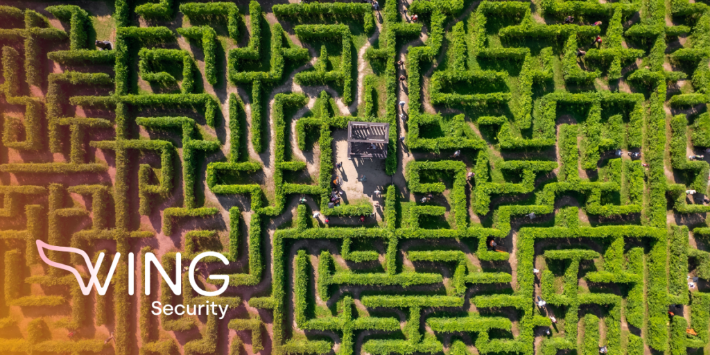 huge maze from bird's eye view
